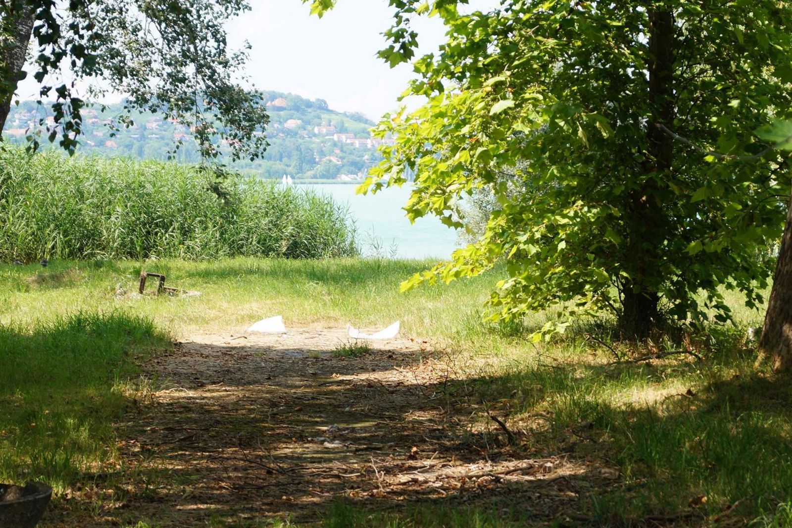 Land, development field with magic panoramic view at the Lake of Balaton is for sale